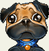 Cute Dog Avatar