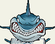 Shark Angry