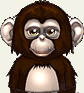 Monkey Avatar